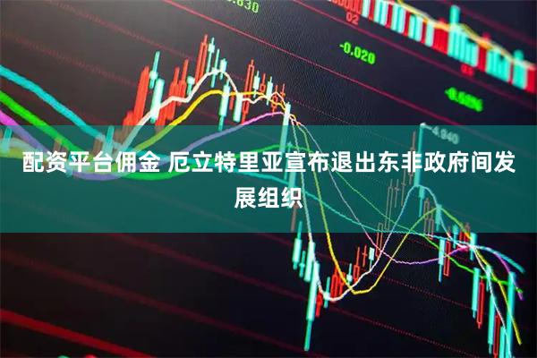配资平台佣金 厄立特里亚宣布退出东非政府间发展组织
